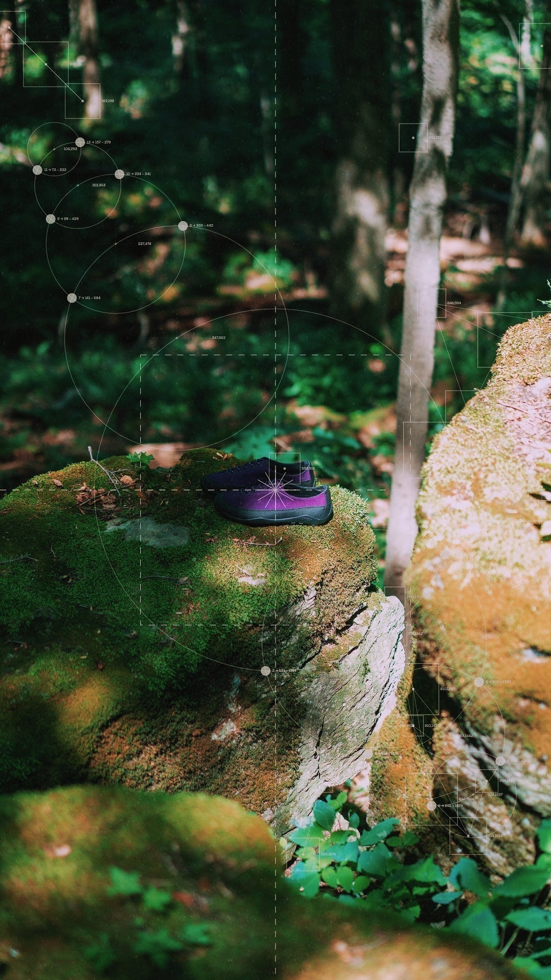 Wander with Tarvas