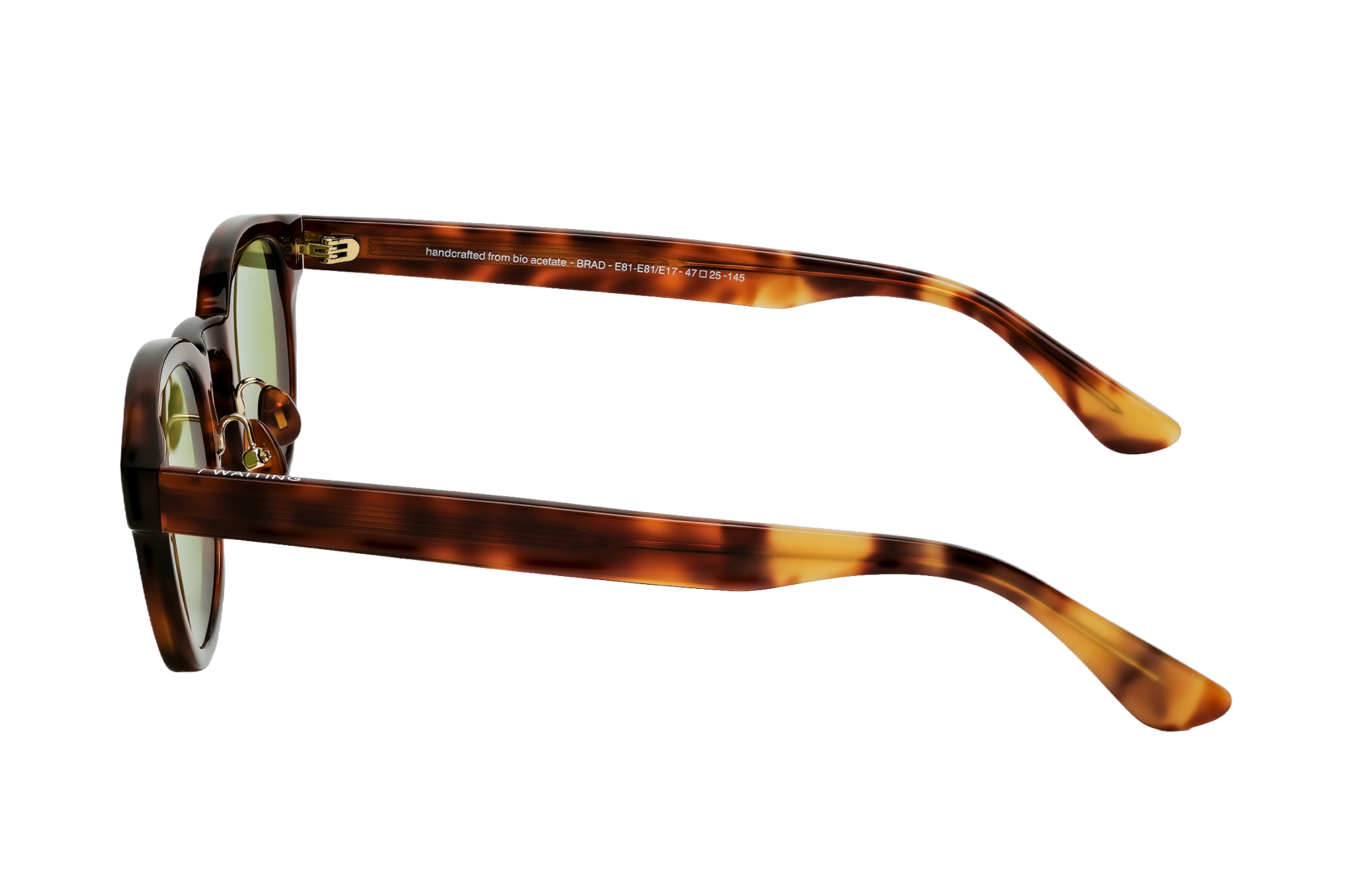 Brad E81/E17 - Deep Green Lens