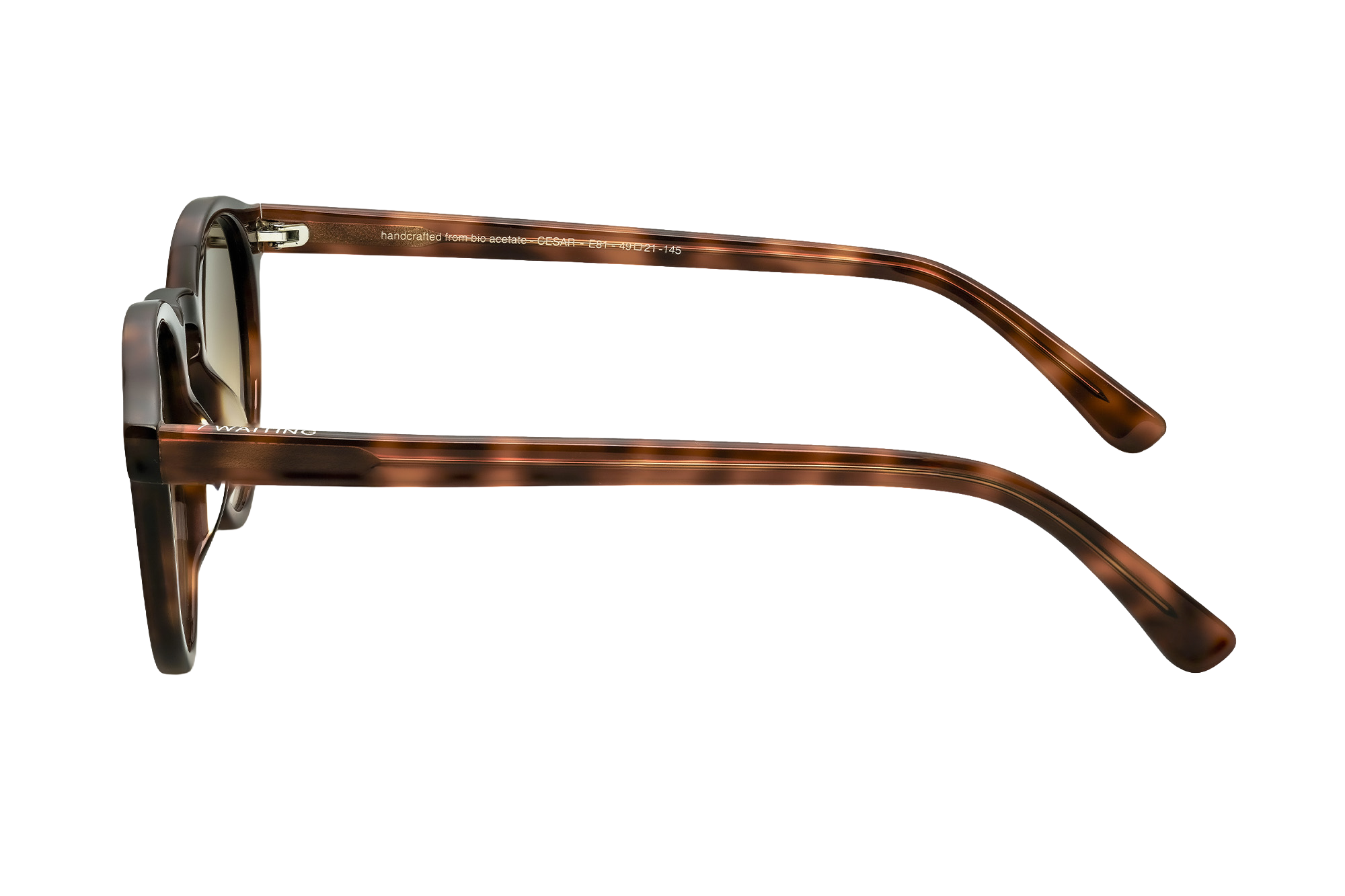 Cesar E81 - Brown Gradient Lens