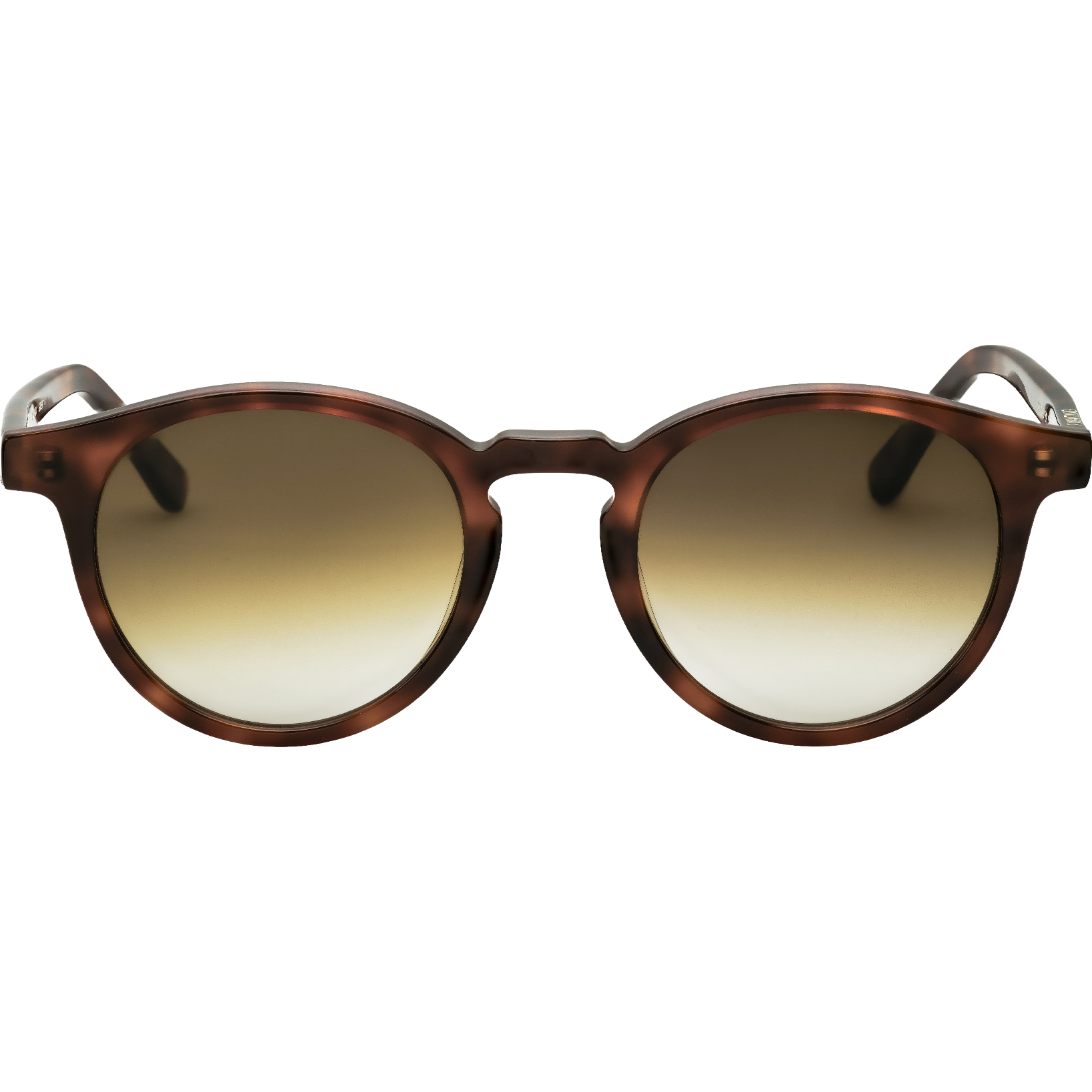 Cesar E81 - Brown Gradient Lens