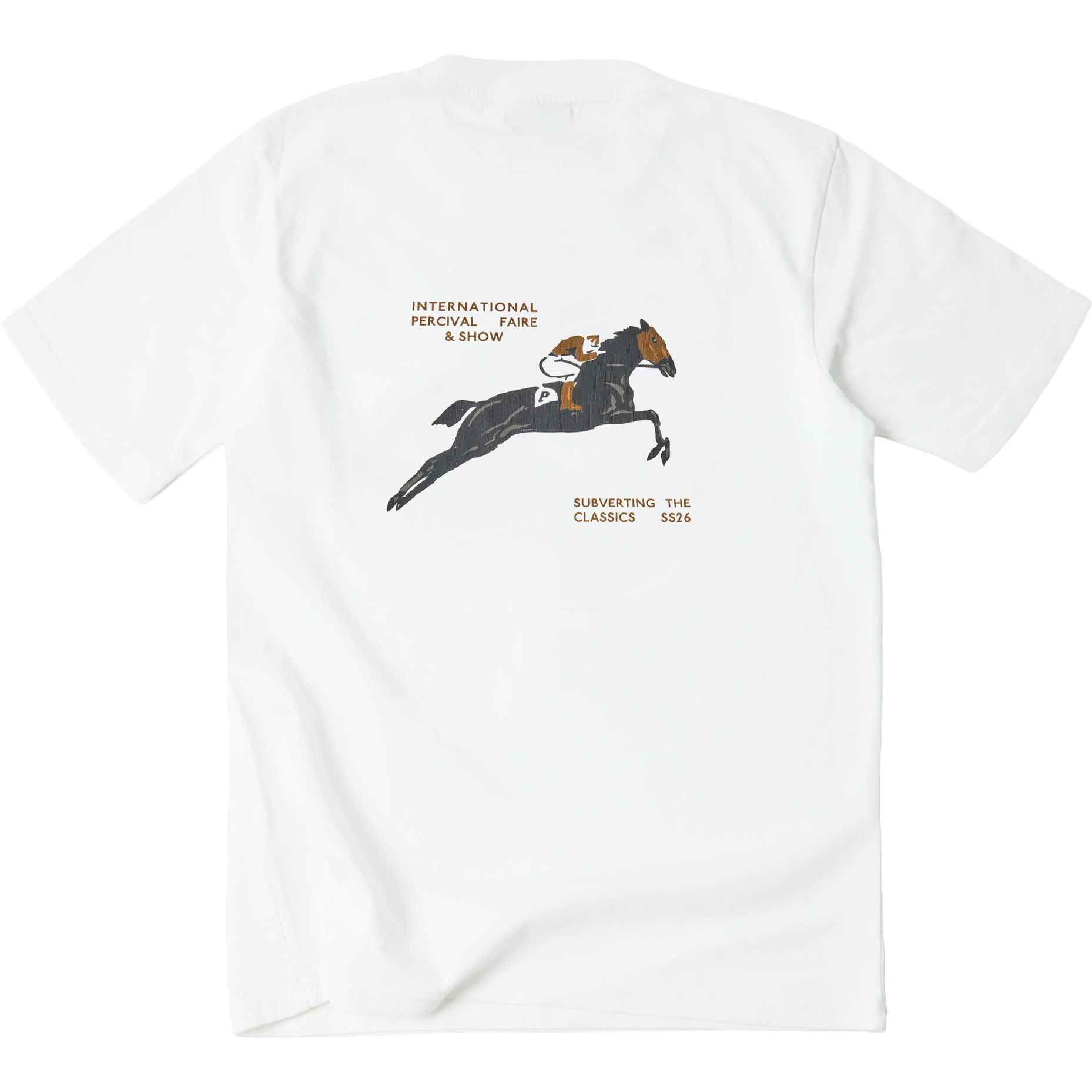 Faire and Show Oversized T-Shirt - Sage