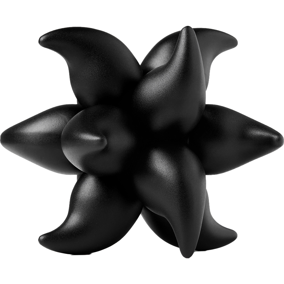 Andromeda Puzzle - Black
