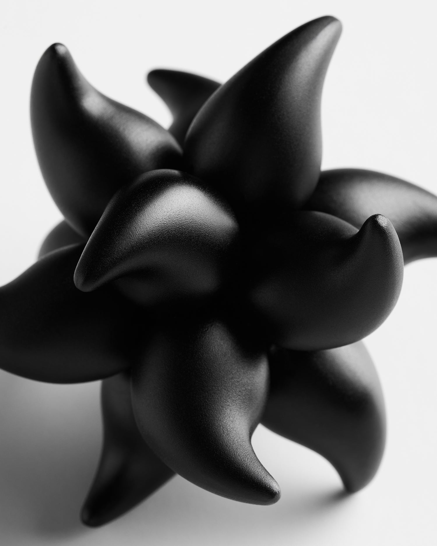 Andromeda Puzzle - Black