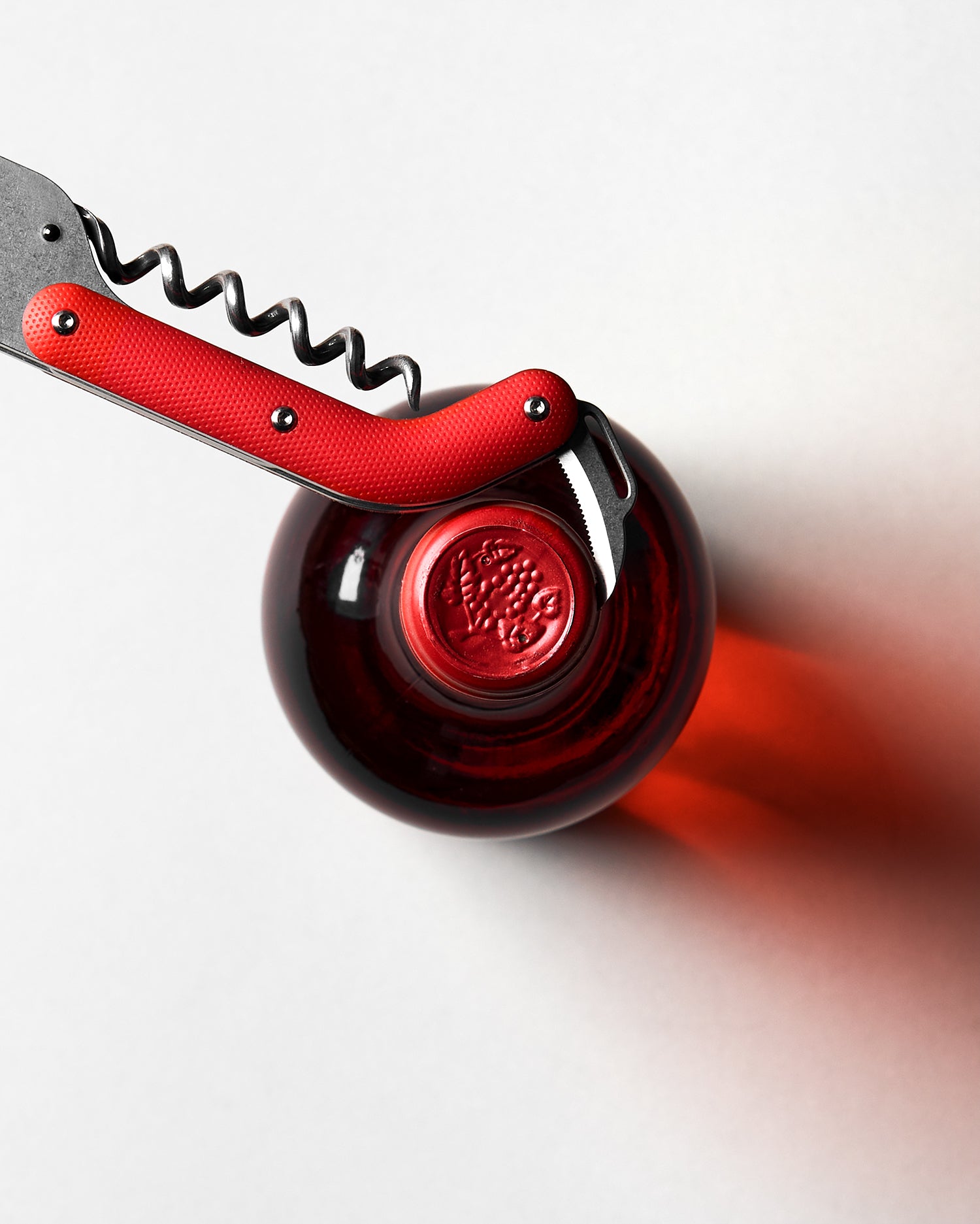 Best Wine Key - Tortoise