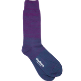 Organic Cotton Gradient Crew Sock  - Purple / Navy